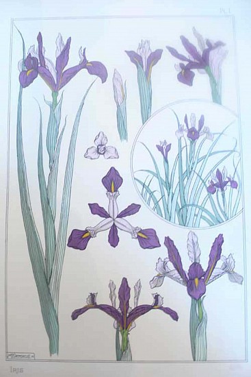 Mathurin Meheut, La Plante Exotique