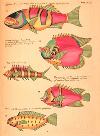 Renard, Poissons, Ecrevisses et Crabes   
1754