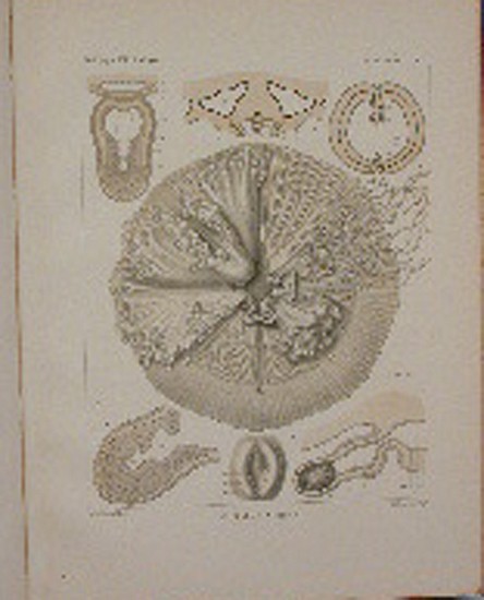 Sinclair, The Code of Agriculture
1817