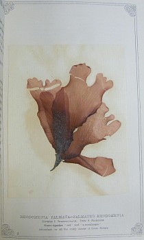 0708