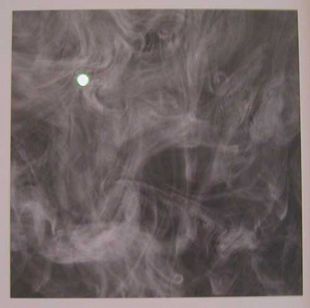 Adam Fuss: My Ghost | Fraenkel Gallery