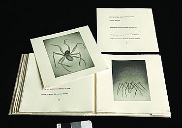 Louise Bourgeois, Ode a ma mere, deluxe issue
1995
