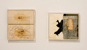 Roth Book Exhibition 2007 Page