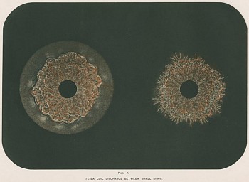 6e59e81c15e82efe3ad8feac9eeb018b