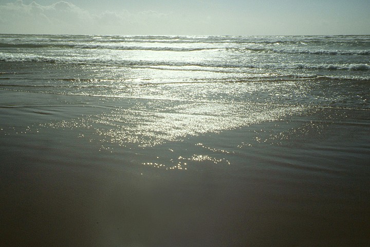 Herman DeVries, On The Beach-Morocco 2006
2006