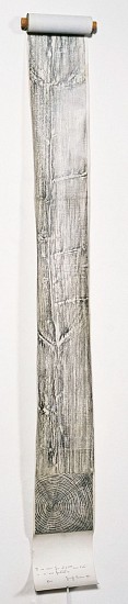 Giuseppe Penone, Albero - Il suo essere fino al 49mo anno d'etÁ  in un'ora fantastica (Tree: Capturing his being of 49 years of life in a fantastic moment)
1972