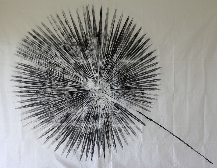 Michele Rodda, Saribus rotundifolius
2020