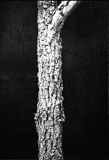 Romano Bertuzzi, Tronco
2009