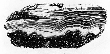 FIG 5 RAW Gr 8b 3 copy