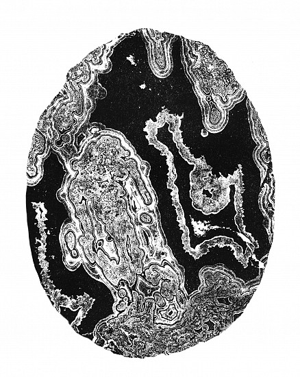 Matt Evans, Agate V
2021