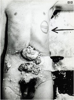 screen shot 2022 12 12 at 10.33.16 am