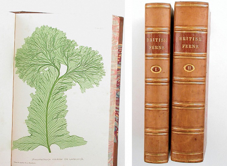 Thomas Moore, The Octavo Nature-Printed British Ferns
1859