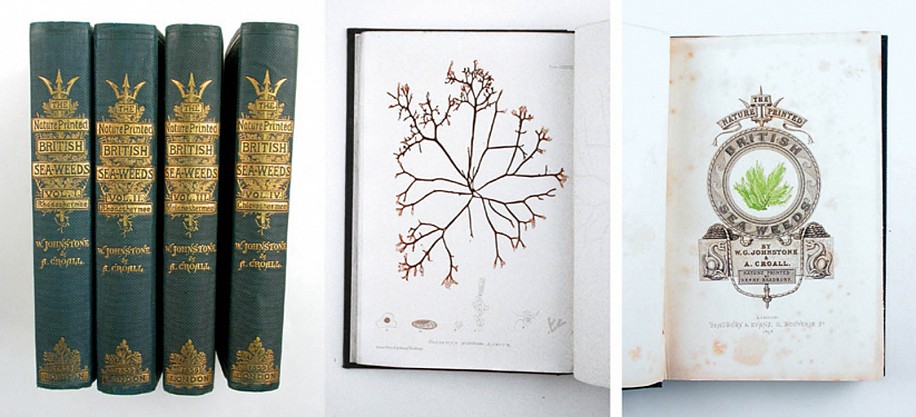 Johstone, W. G., and A. Croall, The Nature-Printed British Sea-Weeds: A History, Accompanied by Figures and Dissections, of the Algae of the British Isles
1859-60
