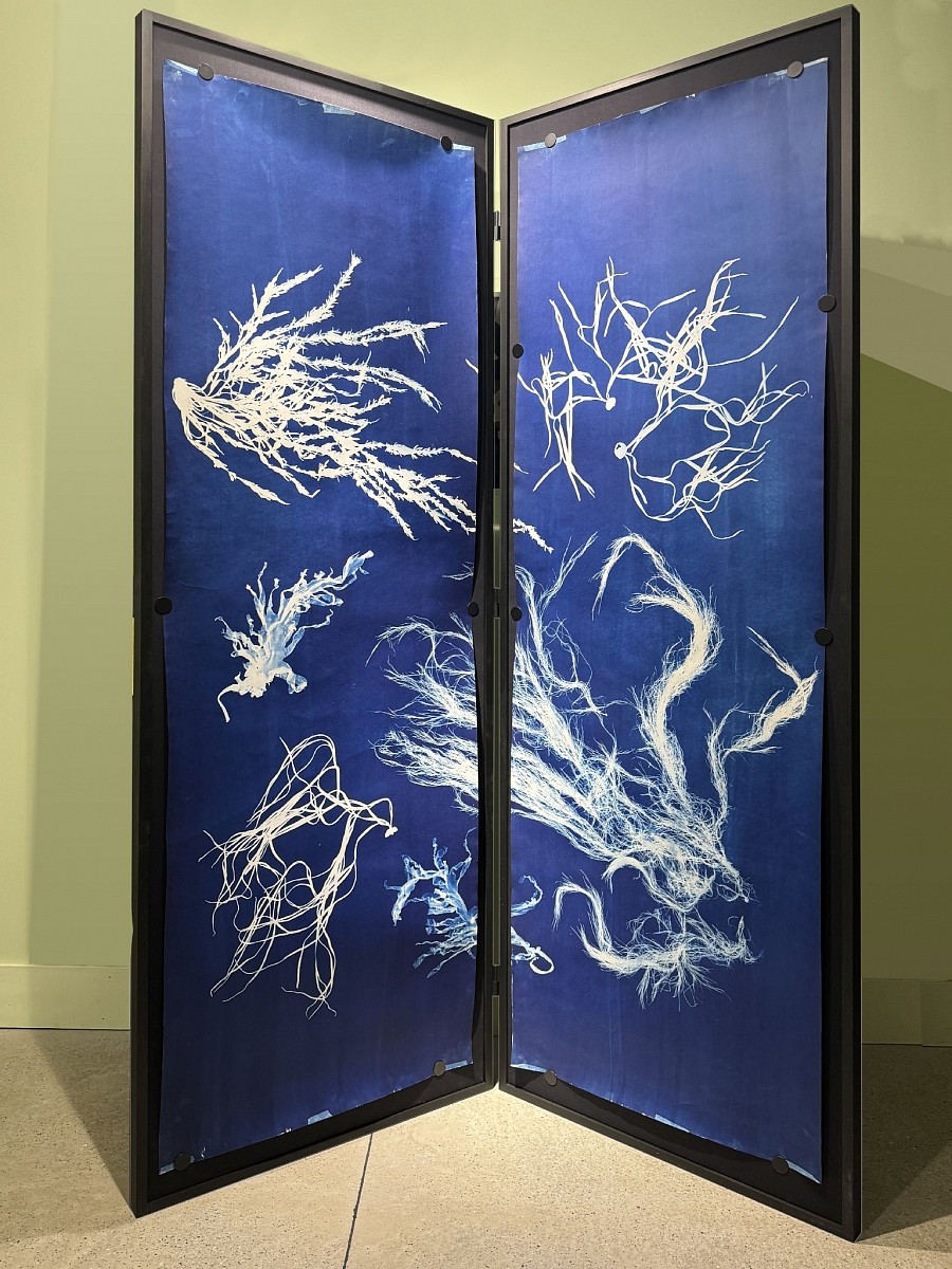 2024 02 03 12.13 copy